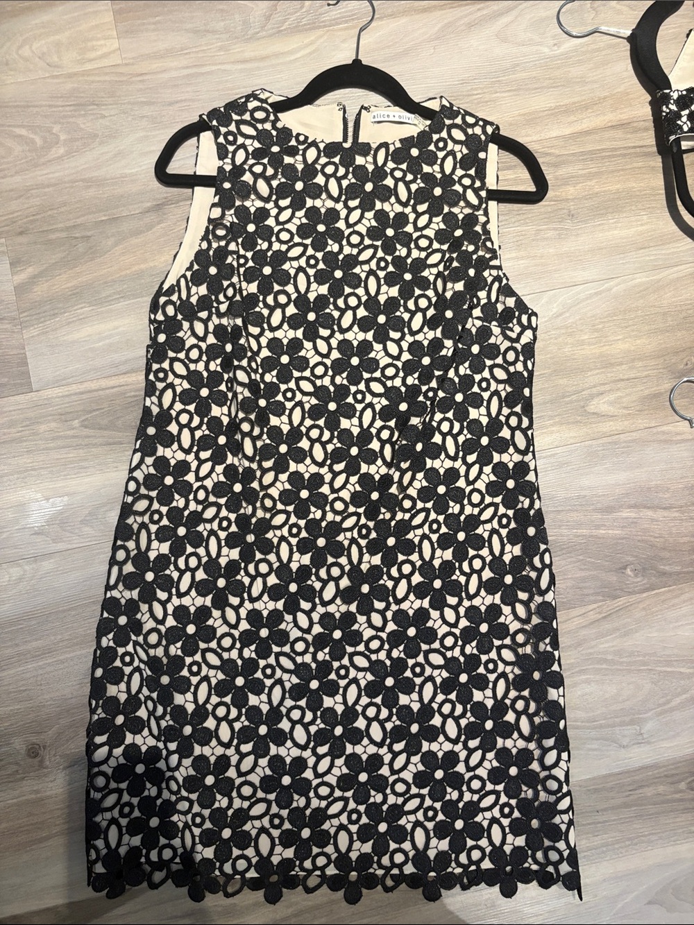 Alice + Olivia Black Floral Lace Shift Dress on Cream Base